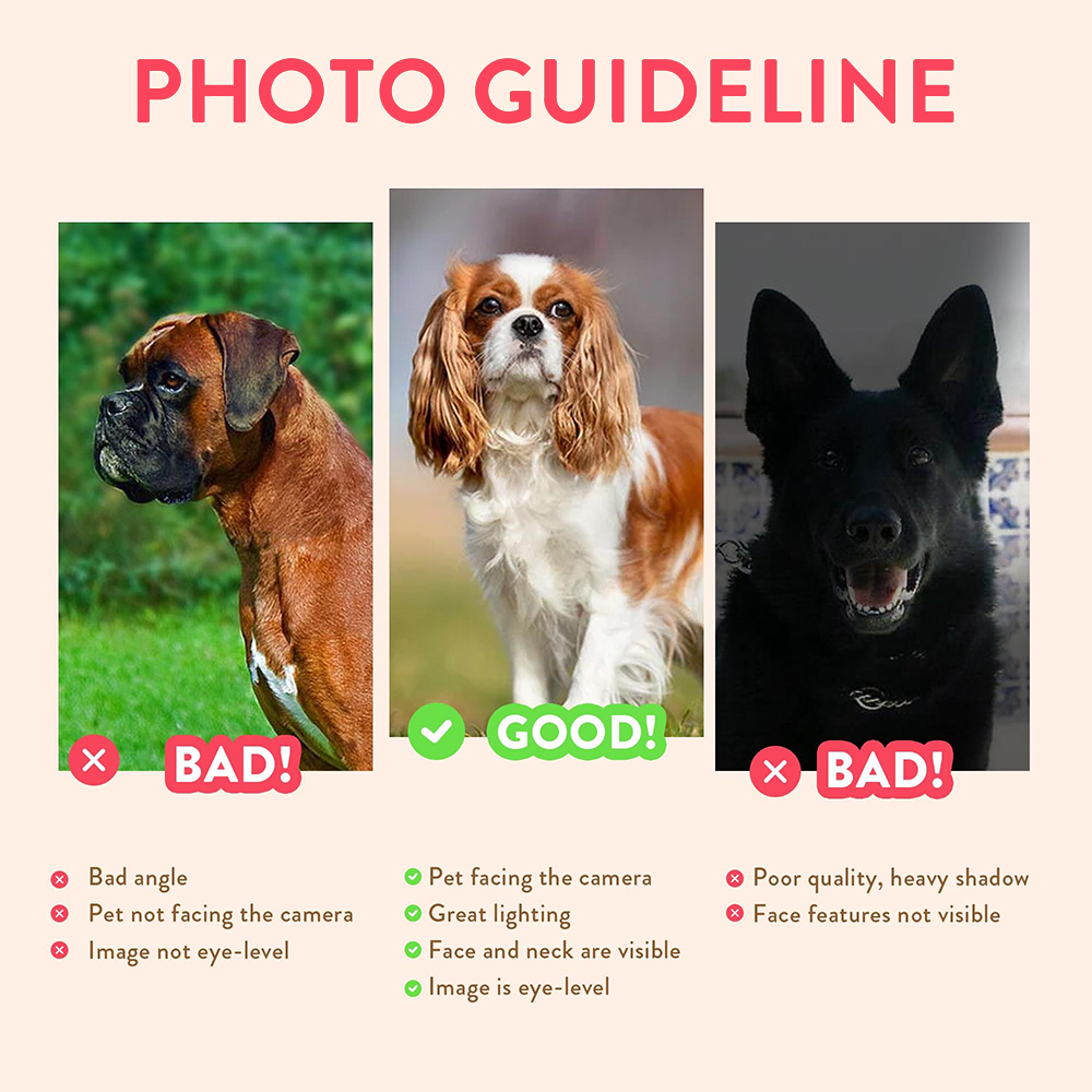 맞춤형 반려동물 초상화 사진 이름이 적힌 강아지 고양이 - Photography Poster 리뷰 및 가격