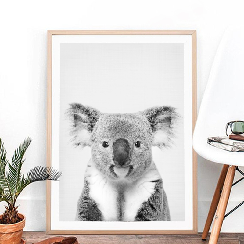 코알라 인쇄 흑백 그림 캔버스 회화 야생 생활 사진 호 - Photography Zoo 리뷰 및 가격
